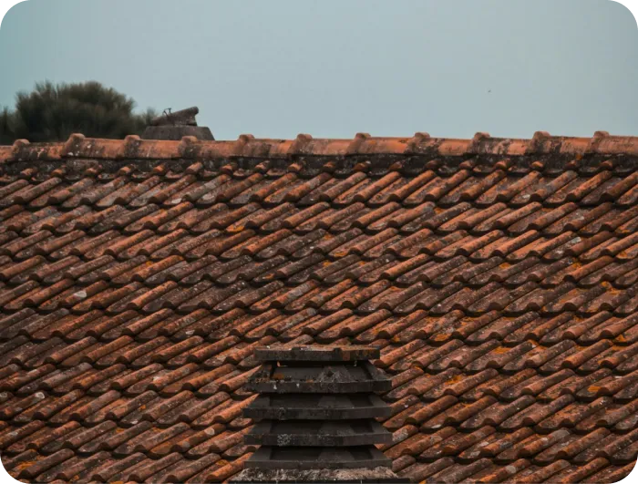 roof close-up