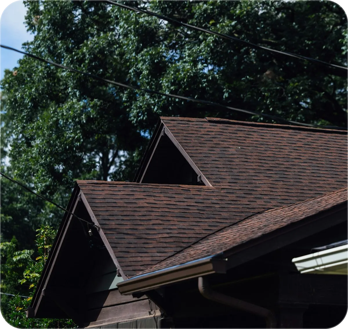 shingled roof