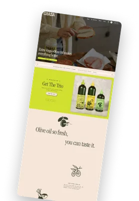 an online store