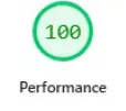performance score