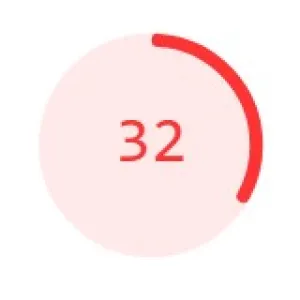 performance score