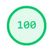 performance score
