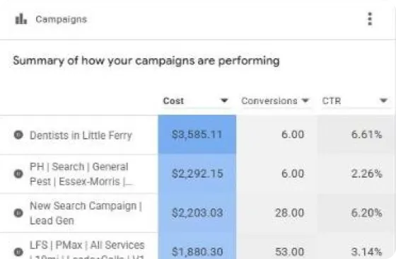 Google Ads campaign summary