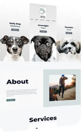 Website design: petcare